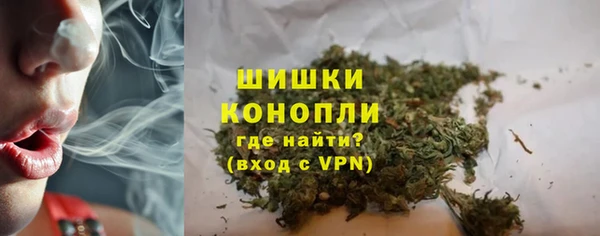 первитин Каменка