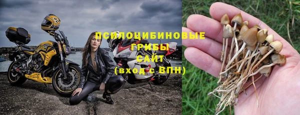 стаф Кулебаки