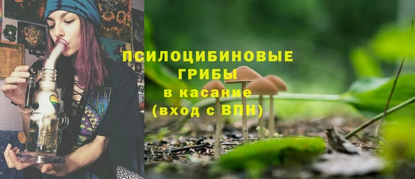 прущие крисы Алексин