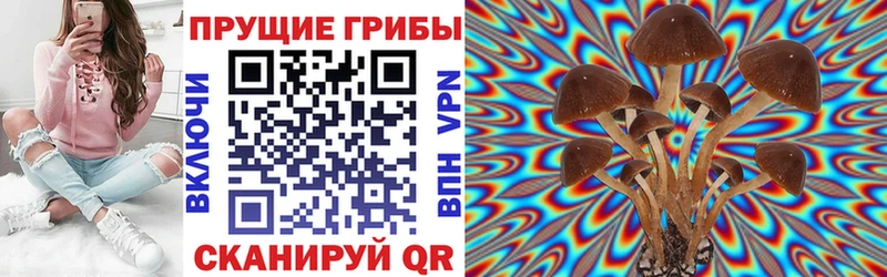 Псилоцибиновые грибы Cubensis  Балей 